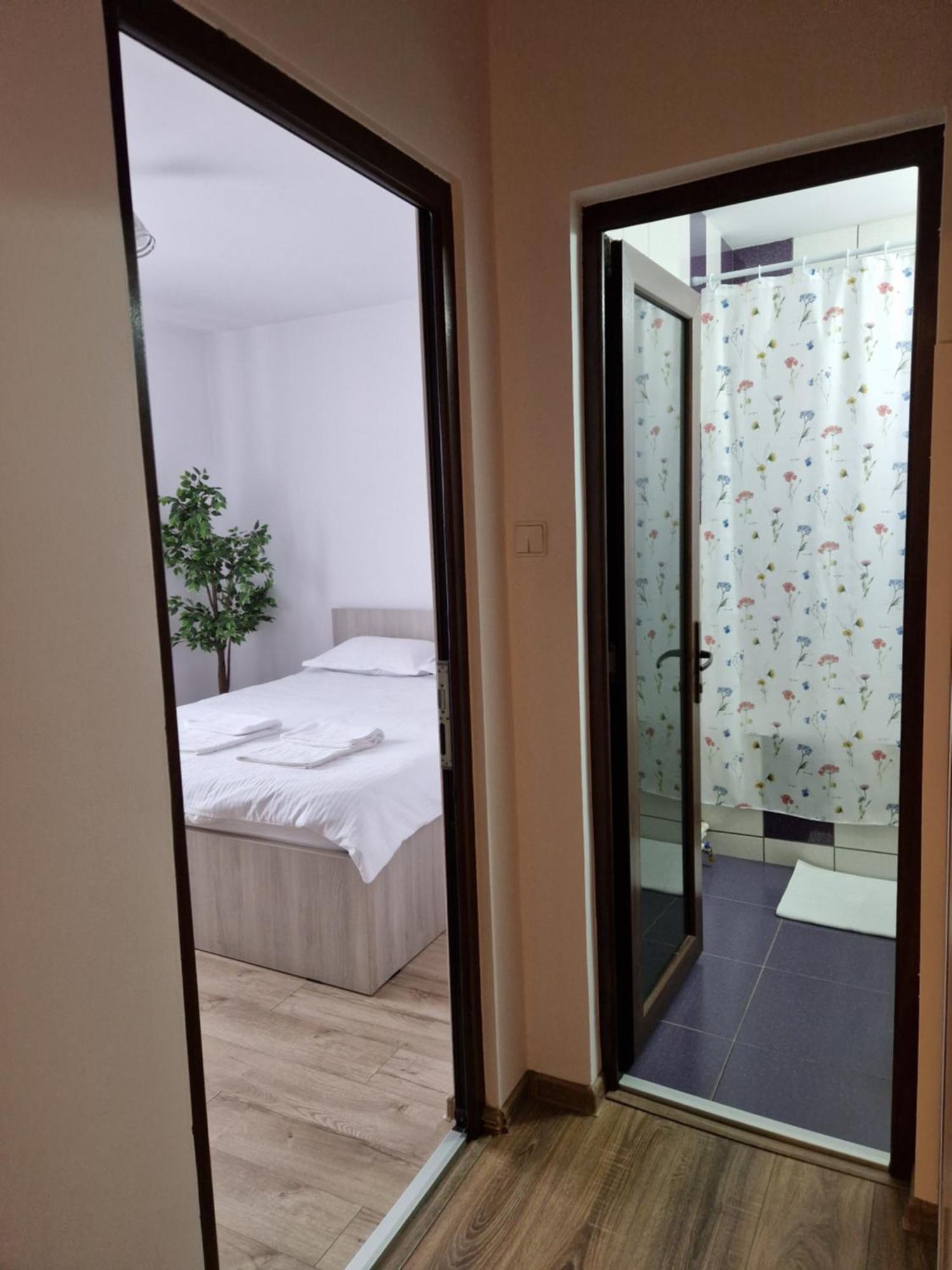 House Of Flowers Petroşani Екстериор снимка